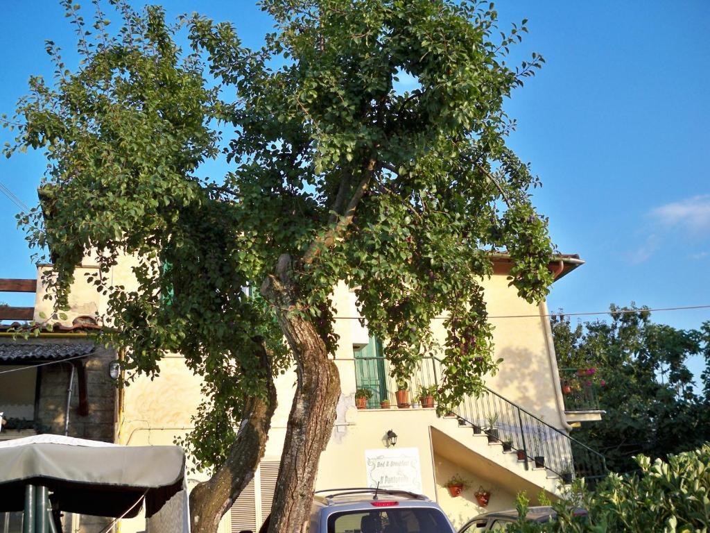 B&B Il Pantanello Rocca Di Papa Exterior foto